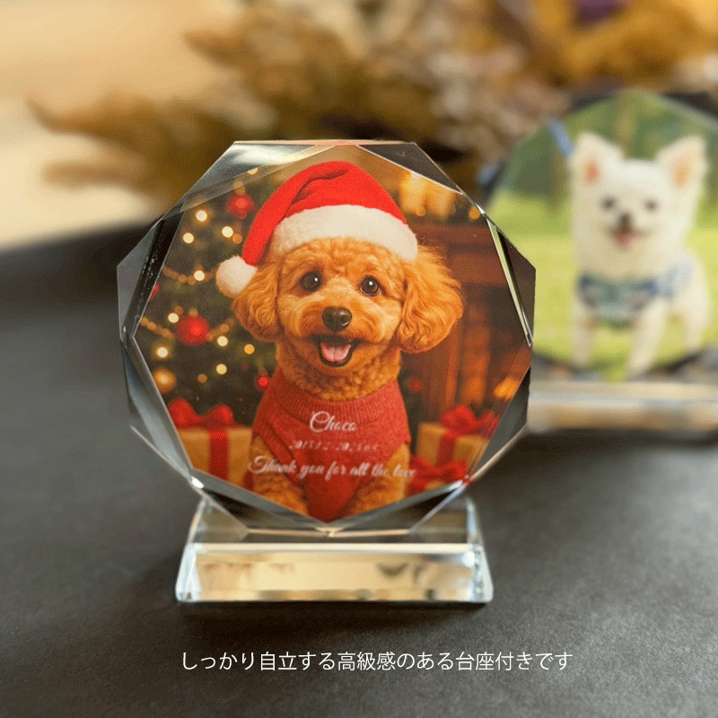 �ڥå� �� ǭ �����λ� �̿� ���ꥢ�� ������� �ץ졼�� ������ ̾���� ���ե� ��ǰ�� �ץ쥼��� ������� �İ��� �פ��� �������� Ļ ������ ���å� ����ƥꥢ ˡ�� ̾������ ��ǰ���� ��² �ɥå� ����å� �ڥåȥ��� ���� ��ǰ�� ��饬�饹