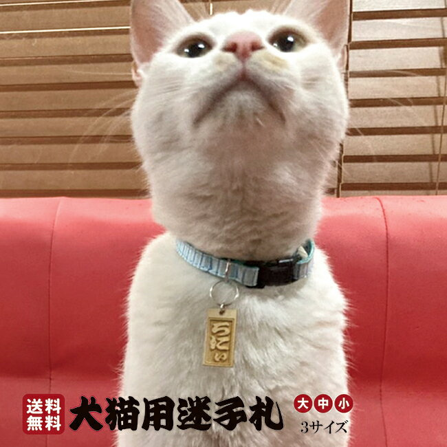 猫用 迷子札 和柄サークル アクリル製 【両面彫刻】 犬 猫 ペット 名札 タグ 軽量 名入れ 飼い主名 電話番号 ケータイ番号 住所 鑑札番号 伝統文様 和柄 和風 SNSに最適