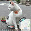 ԥݥȤǸĤ롪 »ҤˤʤäƤ¿ Ѽ AirTag   ̾ » ǭ   GPS  ʶɻ ԥ  忧   ꡼  ڥåȥå ڥå ǭ  æ Ƚ  dog cat  ֥å