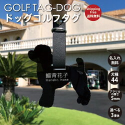 ٥դ桪mm饢42फ٤르ѥե͡ץ졼ȥ͡ॿ̾golf̾dog緿륨åȲİ츤ꥢץ쥼ȥǥ̵սҾƸ淿