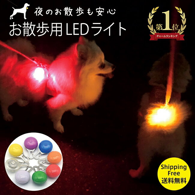 全色入荷 光って安全★犬散歩 ランニング 自転車 夜道 夜 安全 ライト 光る LED 猫 首輪 ハ ...