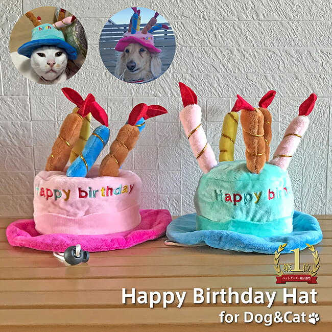 ケーキ（ペット用） 犬 猫 誕生日 バースデー ハット 帽子 キャップ 可愛い ペット用 ペットグッズ 犬服 犬用 猫用 冬服 夏服 オールシーズン パーティー コスプレ ケーキ お誕生日 かぶりもの インスタ映え おしゃれ 小型犬 かわいい オシャレ dog cat 中型犬 ろうそく 青 ピンク 仮装 洋服 服