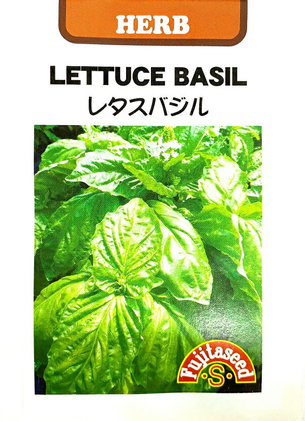 コメント： シソ科の一年草です。 肉厚の波打った大きな葉で、料理の敷物やサラダなどに利用します。 香りは通常のバジルよりもやわらかく癖がありません。 別名ナポリターナとも呼ばれています。 学名、科名： Ocimum basilicum シソ科メボウキ属 英名： Basil 和名： 目箒（メボウキ） 別名： バジリコ 種類： 一年草 草丈： 30〜50cm 利用方法： 肉厚の葉はやわらかく、サラダなどに利用します。 大きな葉を活かして具材を巻いて食べるのもおすすめです。 香りはやや薄いです。 播種時期： 4月〜6月 収穫時期： 約2 ヵ月後、草丈が20cmになったら収穫できます。 発芽適温： 約20〜25℃ 発芽日数： 播種深さ： 3mm程度覆土 生産地： イタリア 内容量： 約0.5ml 発芽率： 約60％以上 おおよその目安です。発芽率を保証するものでは有りません。 まき方： 春、霜の危険がなくなってから苗床に種まきし、7〜8cm位に育ってから20cm間隔に植え付けます。 育て方： 日当たりがよい場所を好みます。 弱アルカリ性の良く肥えた土が最適です。 芯を止めると分岐が増え株がこんもりとします。 花をつけると葉が硬くなります。 ハーブとして利用する場合は花をこまめに摘み取りましょう。 備考： ・裏面には種のまき方などの日本語訳が付いております。 ・生産国の気候を基にしているため、日本の育て方と異なることがあります。 ・この種子を直接、食用・飼料用に使用しないで下さい。 ・お子様の手の届かない所に保管下さい。 ・直射日光・湿気を避け、涼しい所で保管下さい。 ・種子は本質上100%の純度は望めません。 ・播種後の栽培条件・天候等で結果が異なります。 　商品の成長後や収穫物に対する補償はいたしかねます。 ・独自に加工された場合は責任を負いかねますので予めご了承下さい。 ・モニターの設定等により実物と色が違って見えることがあります。 &nbsp;藤田種子株式会社【種子】レタスバジル 　　　