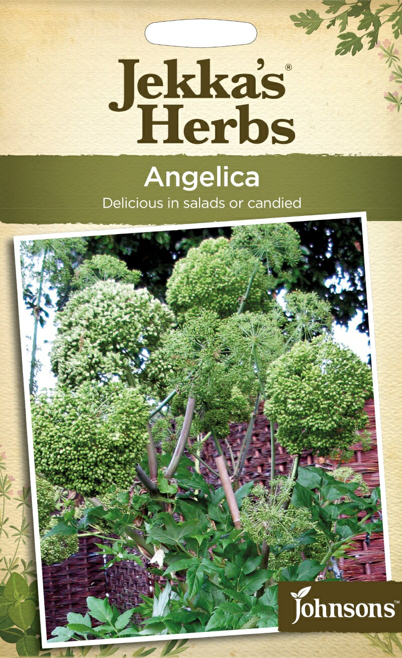 【種子】Johnsons Seeds Jekka's Herbs Angelica ジェッカズ・ハーブス アンジェリカ ジョンソンズシード