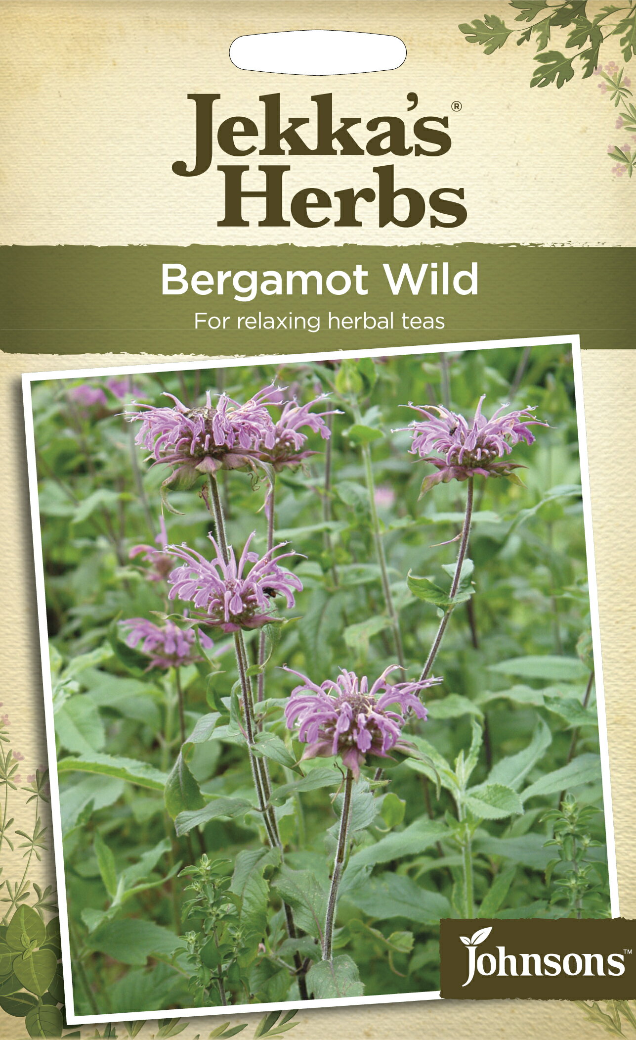 【種子】Johnsons Seeds Jekka's Herbs Bergamot Wild ジェッカズ・ハーブス ベルガモット・ワイルド ジョンソンズシード