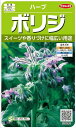 【種子】ハーブ ボリジ サカタのタネ