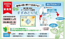 ivy-believe-happiness:10008335のサンプル画像2