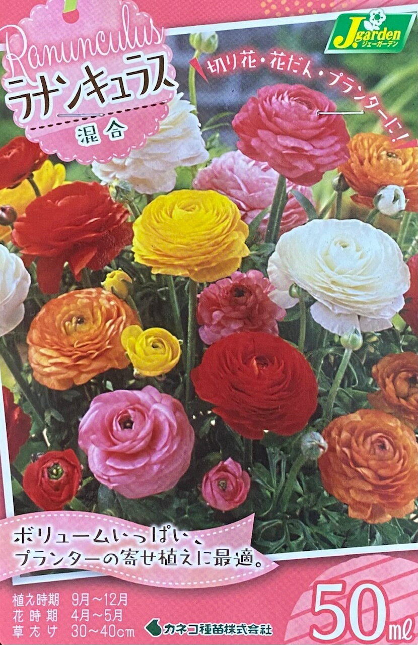 【花球根】ラナンキュラス 混合 50ml入のサムネイル