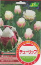 【花球根】チューリップ アイスクリーム 3球入 カネコ種苗の球根