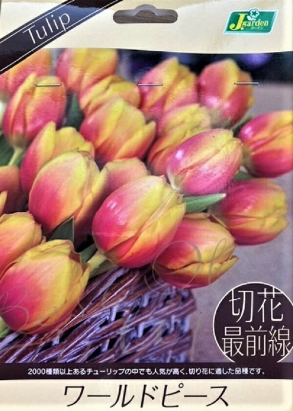 ֵ庬 塼å ڲֺ ɥԡ 4 ͥĤε庬