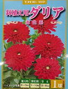 【花球根】鉢植え用 ダリア 赤色系 1球入 トーホクの球根