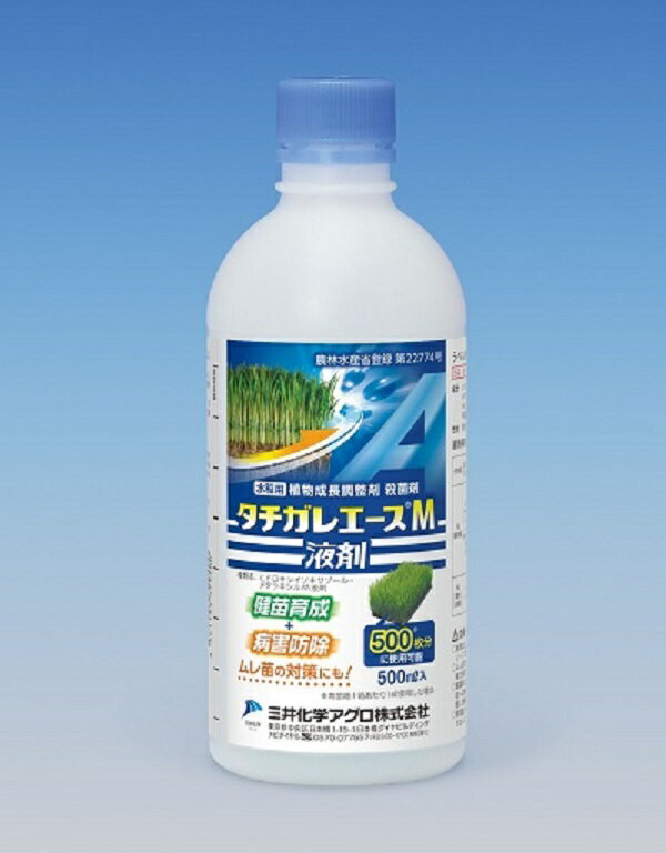 コメント： 稲の健苗育成と殺菌が同時に出来ます。 優れた健苗効果をもち、特にムレ苗に安定した防除効果があります。 本剤はピシウム菌、フザリウム菌には有効ですがリゾープス菌による苗立枯病には効果が劣るので注意して下さい。 土壌混和は出来るだけ播種前に使用して下さい。 対象作物： 稲 適用病名： 苗立枯れ病、ムレ苗防止 使用方法： 土壌灌注 成分： ヒドロキシイソキサゾール・・・30.0% メタラキシルM・・・2.0% 内容量： 液剤　500ml 備考： ・平日のみの発送とさせていただきます。 ・ラベルや説明書をよく読み、正しく使用してください。 ・使用が認められた作物、適用病害以外には使用できません。 ・モニターの設定等により実物と色が違って見えることがあります。 ・メーカーはお選びいただけません。 &nbsp;【殺菌剤】タチガレエース液剤 500ml 　　　 　