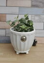 彩か マ・シェリ Planter(White)