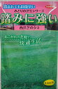 【種子】西洋芝 踏みに強い西洋芝(芝草) サカタのタネ