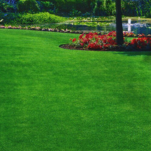 芝生のエアレーションとは 時期や穴あけ間隔などやり方をご紹介 Botanica