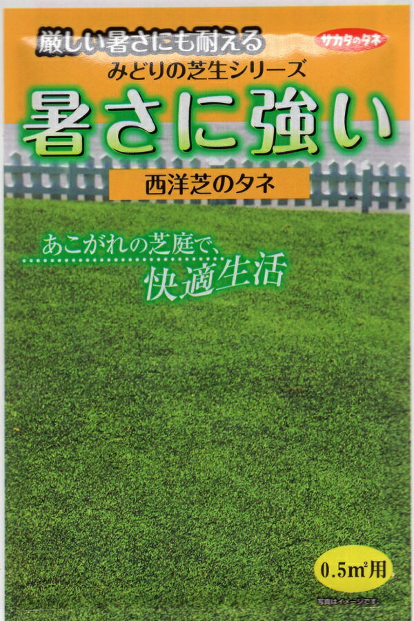 【種子】西洋芝 暑さに強い西洋芝（芝草） サカタのタネ