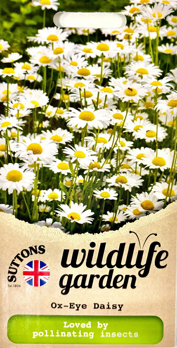 花種子 Suttons Seeds Wildlife garden Ox-Eye Daisy ワイルドライフ ガーデン オックス・アイ・デイジー サットンズシード