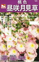 【種子】桃色昼咲月見草 日光種苗のタネ