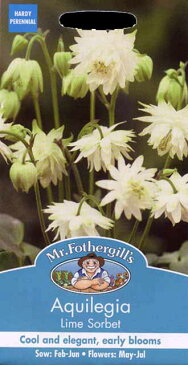 【輸入種子】Mr.Fothergill's SeedsAquilegia Lime Sorbetアクレイジア（オダマキ）・ライム・ソルベミスター・フォザーギルズシード