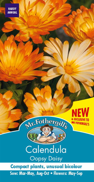 Mr.Fothergill's Seeds Calendula Oopsy Daisy カレンデュラ（きんせんか）・ウープジィ・デイジー ミスター・フォザーギルズシード