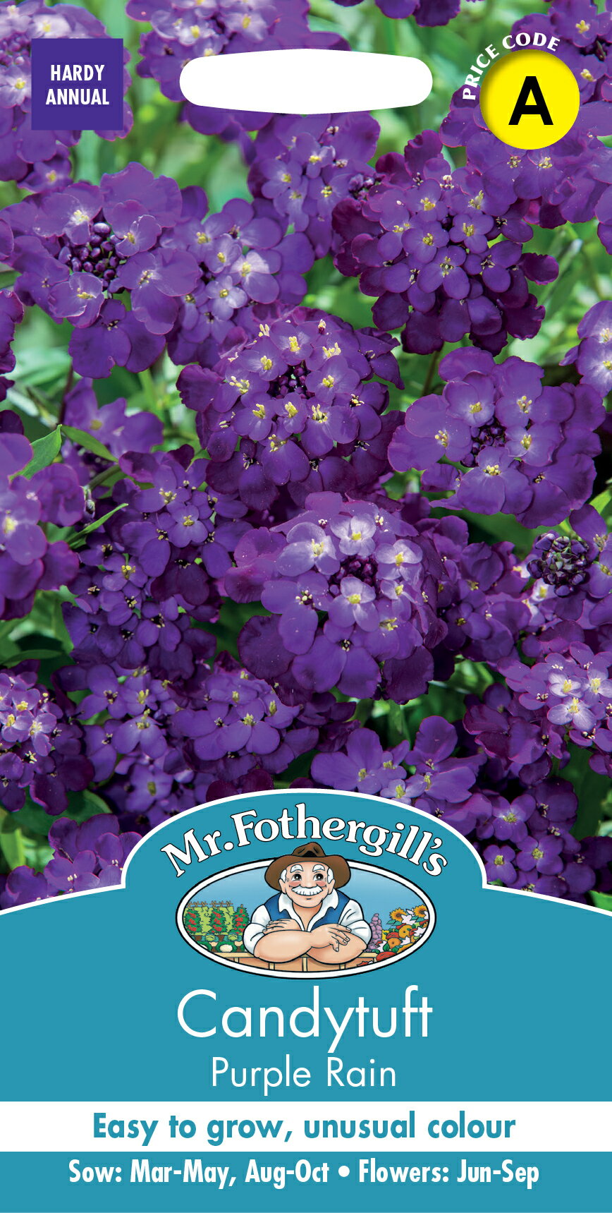 【種子】Mr.Fothergill's Seeds Candytuft Purp