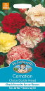 【種子】Mr.Fothergill 039 s Seeds Carnation Choice Double Mixed カーネーション チョイス ダブル ミックス ミスター フォザーギルズシード