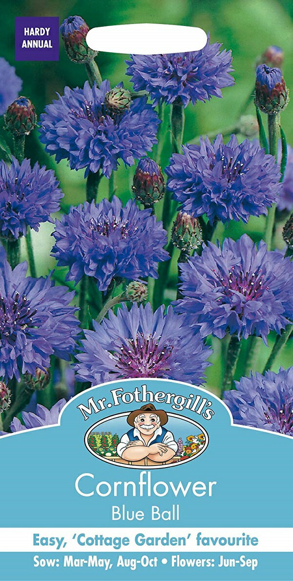 【種子】Mr.Fothergill's Seeds Cornflower Blue Ball コーンフラワー（セントーレア）ブルー・ボール ミスター・フォザーギルズシード