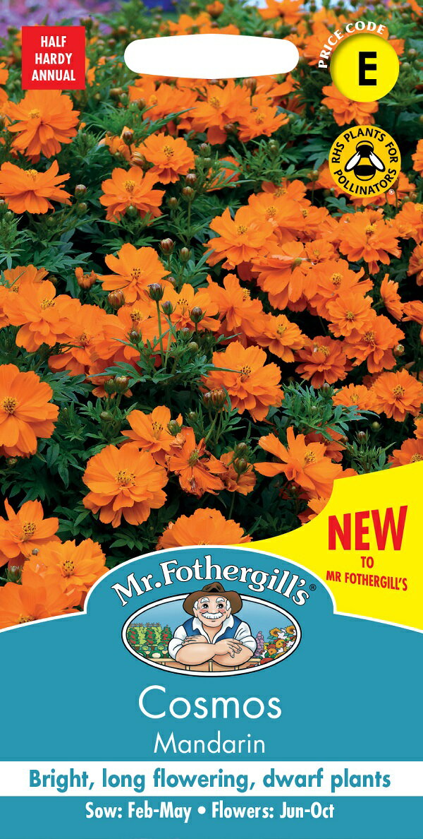 【種子】Mr.Fothergill's Seeds Cosmos Mandarin コスモス マンダリン ミスター・フォザーギルズシード