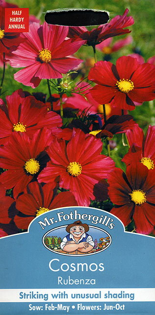 【種子】Mr.Fothergill's Seeds Cosmos Rubenza コスモス・ルベンザ ミスター・フォザーギルズシード