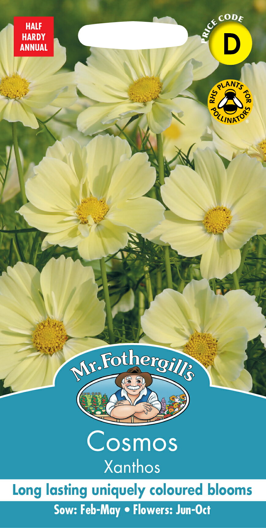 【種子】Mr.Fothergill's Seeds Cosmos Xanthos コスモス クサントス ミスター・フォザーギルズシード