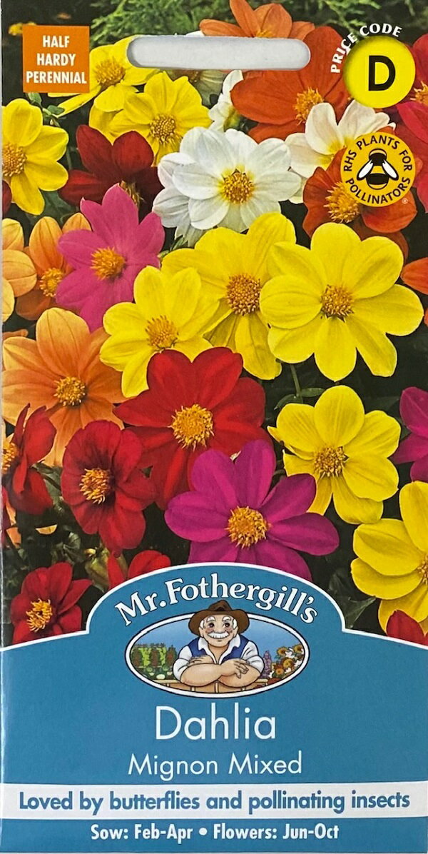 Mr.Fothergill's Seeds Dahlia Mignon Mixed ダリア・ミニヨン・ミックス ミスター・フォザーギルズシード