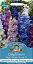 ڼҡMr.Fothergill's Seeds Delphinium High Society Mixed F1 ǥե˥ࡦϥƥߥåF1 ߥե륺