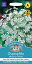 【種子】Mr.Fothergill's Seeds Gypsophila Monarch White ジプソフィラ（かすみ草） モナーク・ホワイト ミスター・フォザーギルズシード