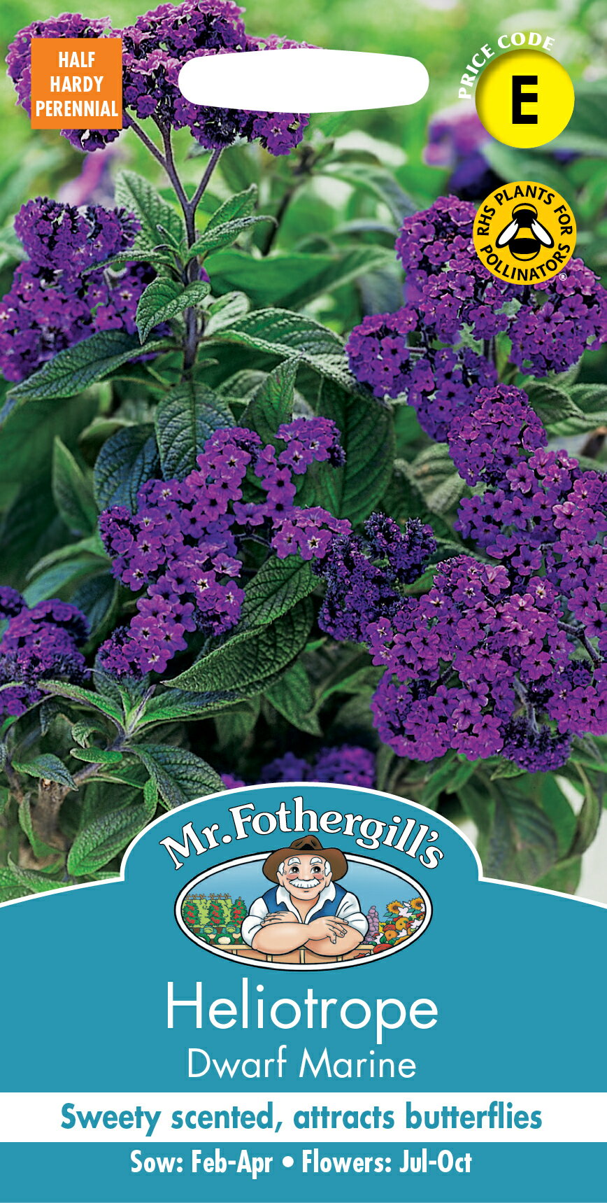 【種子】Mr.Fothergill's Seeds Heliotrope Dwarf Marine ヘリオトロープ・ドワーフ・マリーン ミスター・フォザーギルズシード