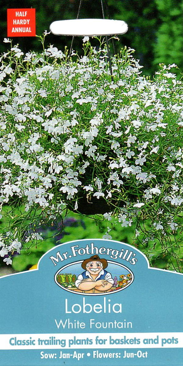 Mr.Fothergill's Seeds Lobelia White Fountain ロベリア ホワイト・ファウンテン ミスター・フォザーギルズシード