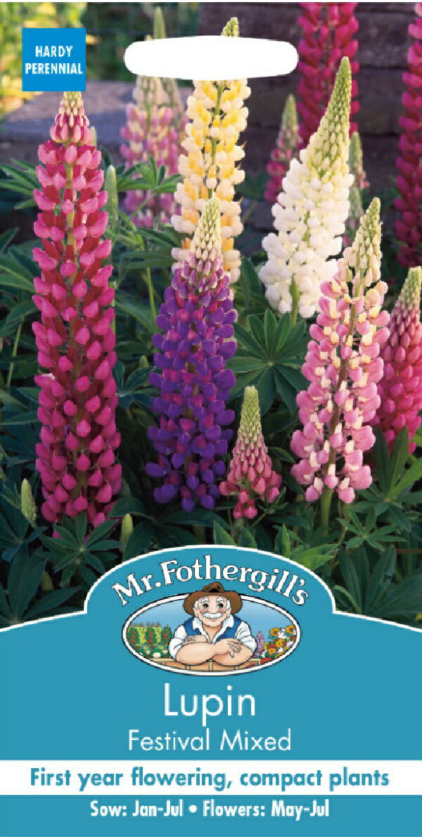 Mr.Fothergill's Seeds Lupin FESTIVAL MIXED ルーピン(ルピナス)フェスティバル・ミックス ミスター・フォザーギルズシード