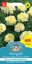 yqzMr.Fothergill's Seeds Marigold (African) Sugar & Spice White }[S[hiAtJjVK[XpCXEzCg ~X^[EtHU[MYV[h