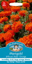 【輸入種子】Mr.Fothergill's SeedsMarigold (African) Kees Orangeマリーゴールド(アフリカン)・キーズ・オレンジミスター・フォザーギルズシード