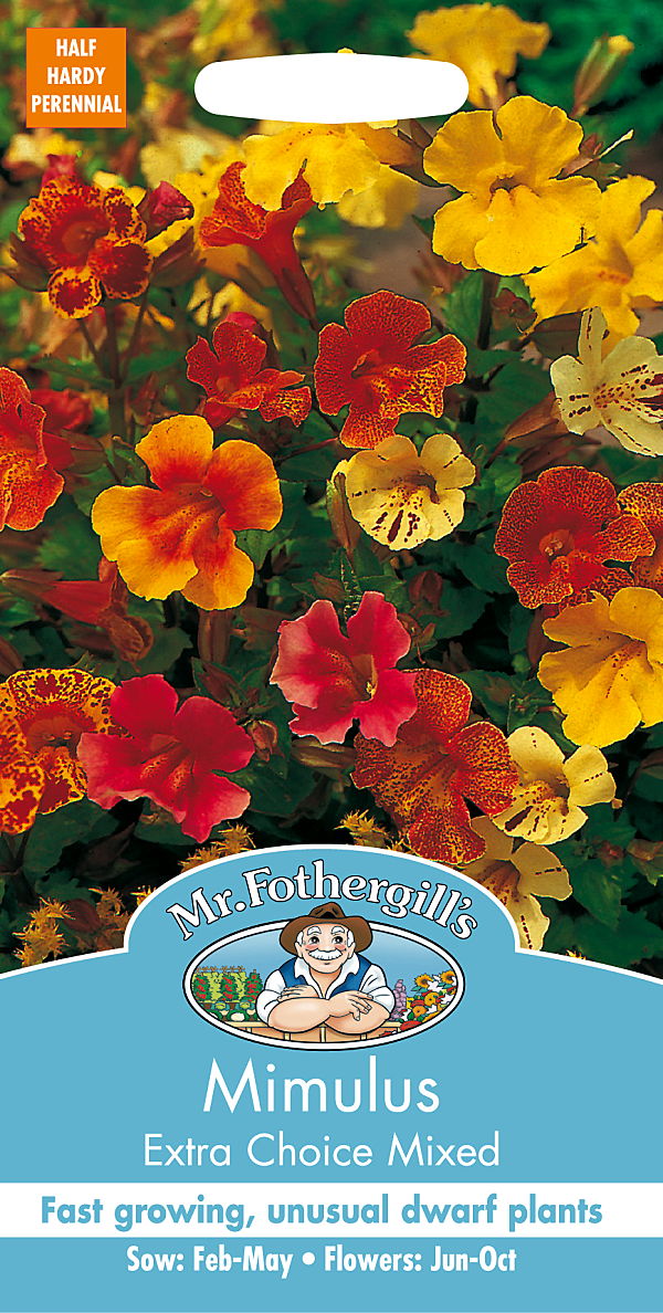 ڼҡMr.Fothergill's Seeds Mimulus Extra Choice Mixed ߥ饹 ȥ顦祤ߥå ߥե륺