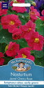 yqzMr.Fothergill's Seeds Nasturtium Jewel Cherry Rose iX^[`EEWGE`F[E[Y ~X^[EtHU[MYV[h