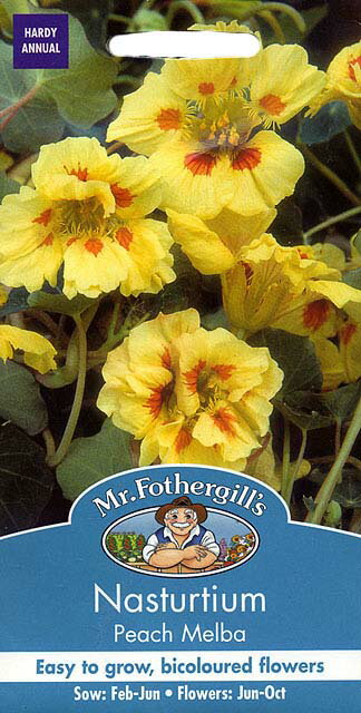 Mr.Fothergill's Seeds Nasturtium Peach Melba ナスターチウム ピーチ・メルバ ミスター・フォザーギルズシード