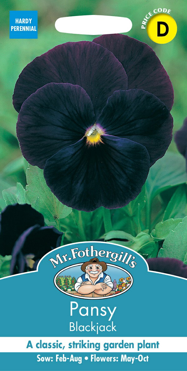 Mr.Fothergill's Seeds Pansy Blackjack パンジー ブラックジャックミスター・フォザーギルズシード