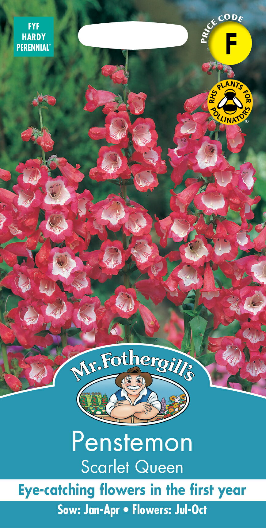 Mr.Fothergill's Seeds Penstemon Scarlet Queen ペンステモン スカーレット クイーン ミスター・フォザーギルズシード