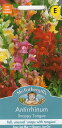 【種子】Mr.Fothergill's Seeds Antirrhinum Snappy Tongue アンチヒナム(金魚草)・スナッピー・タン ミスター・フォザーギルズシード