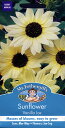【種子】Mr.Fothergill's Seeds Sunflower Vanilla Ice サンフラワー（ひまわり）バニラ・アイス ミスター・フォザーギルズシード