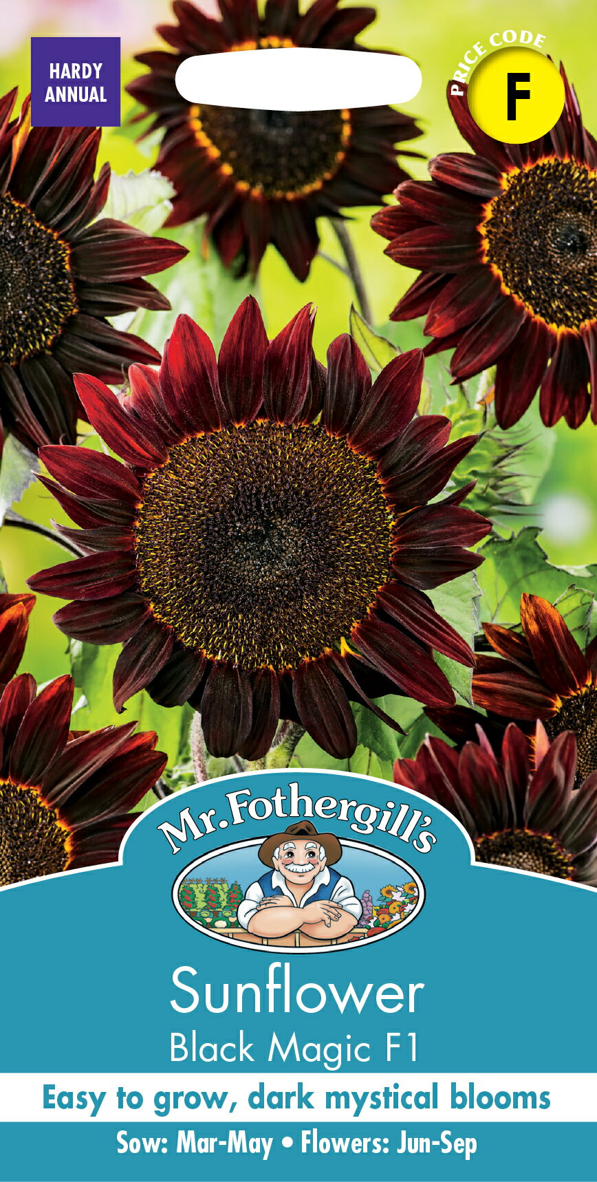 Mr.Fothergill's Seeds Sunflower Black Magic F1 サンフラワー ブラック・マジック・F1 ミスター・フォザーギルズシード