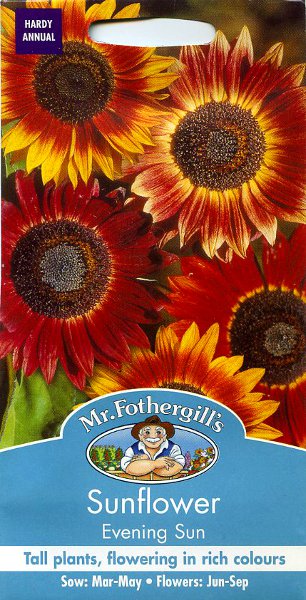 Mr.Fothergill's Seeds Sunflower Evening Sun サンフラワー（ひまわり）イブニング・サン ミスター・フォザーギルズシード