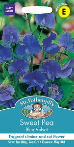 【種子】Mr.Fothergill's Seeds Sweet Pea Blue Velvet スイート・ピー ブルー・ベルベット ミスター・フォザーギルズシード