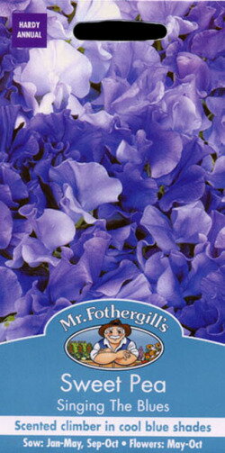 【種子】Mr.Fothergill's Seeds Sweet Pea Singing The Blues スイート・ピー シンギング・ザ・ブルース ミスター・フォザーギルズシード