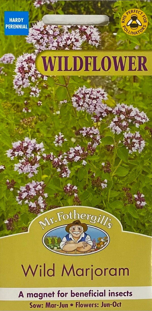 Mr.Fothergill's Seeds WILDFLOWER Wild Marjoram ワイルドフラワー ワイルド・マジョラム ミスター・フォザーギルズシード